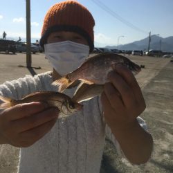 オオアジ狙いはボウズ・・日の出後サヨリメインで釣り＾＾